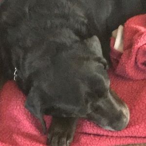 Meet your Posher, Peggy